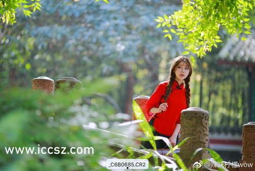 吃瓜视频网站 黑瓜吃料网,吃瓜视频网站的独特魅力